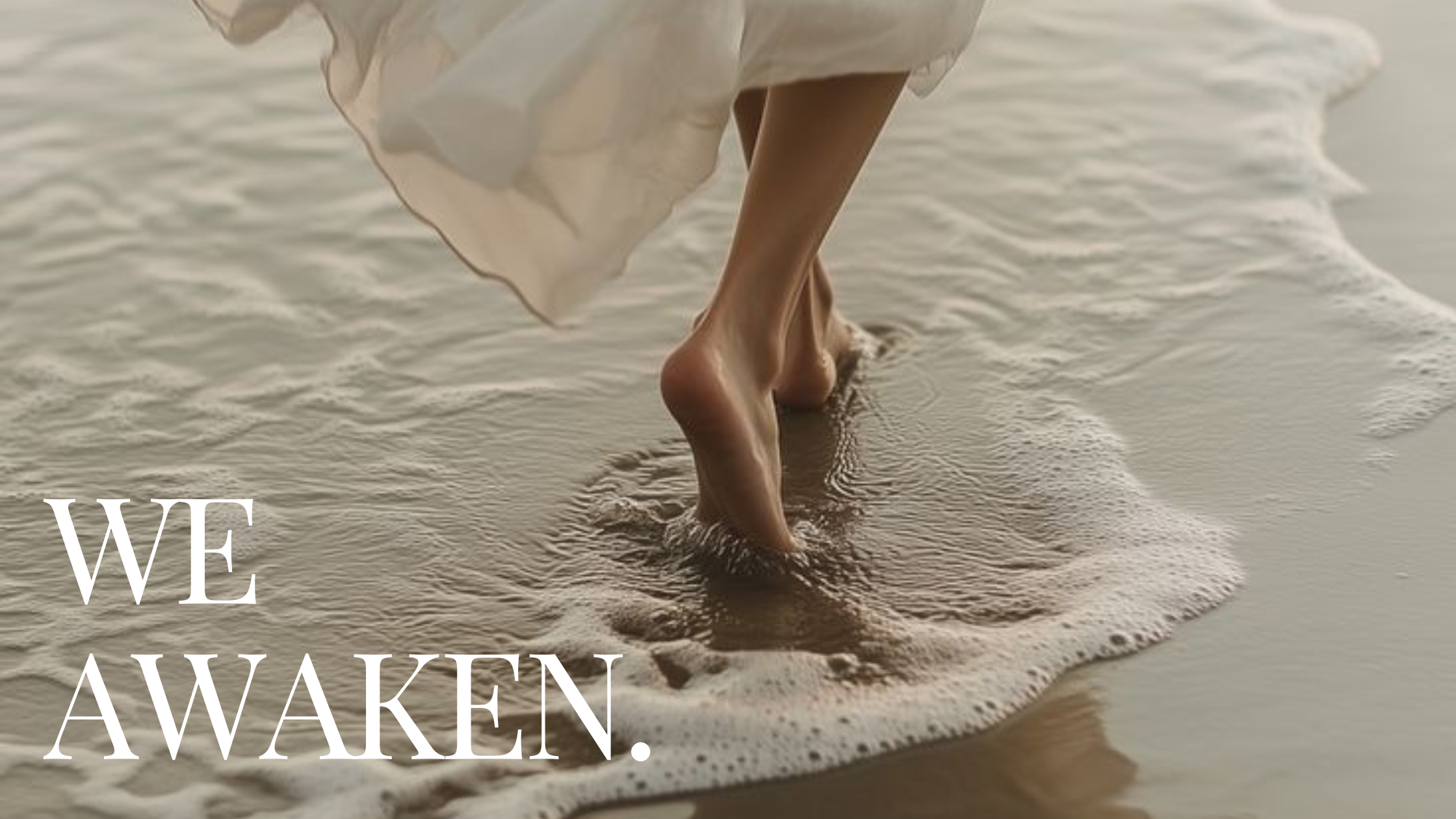 January 2026: We Awaken