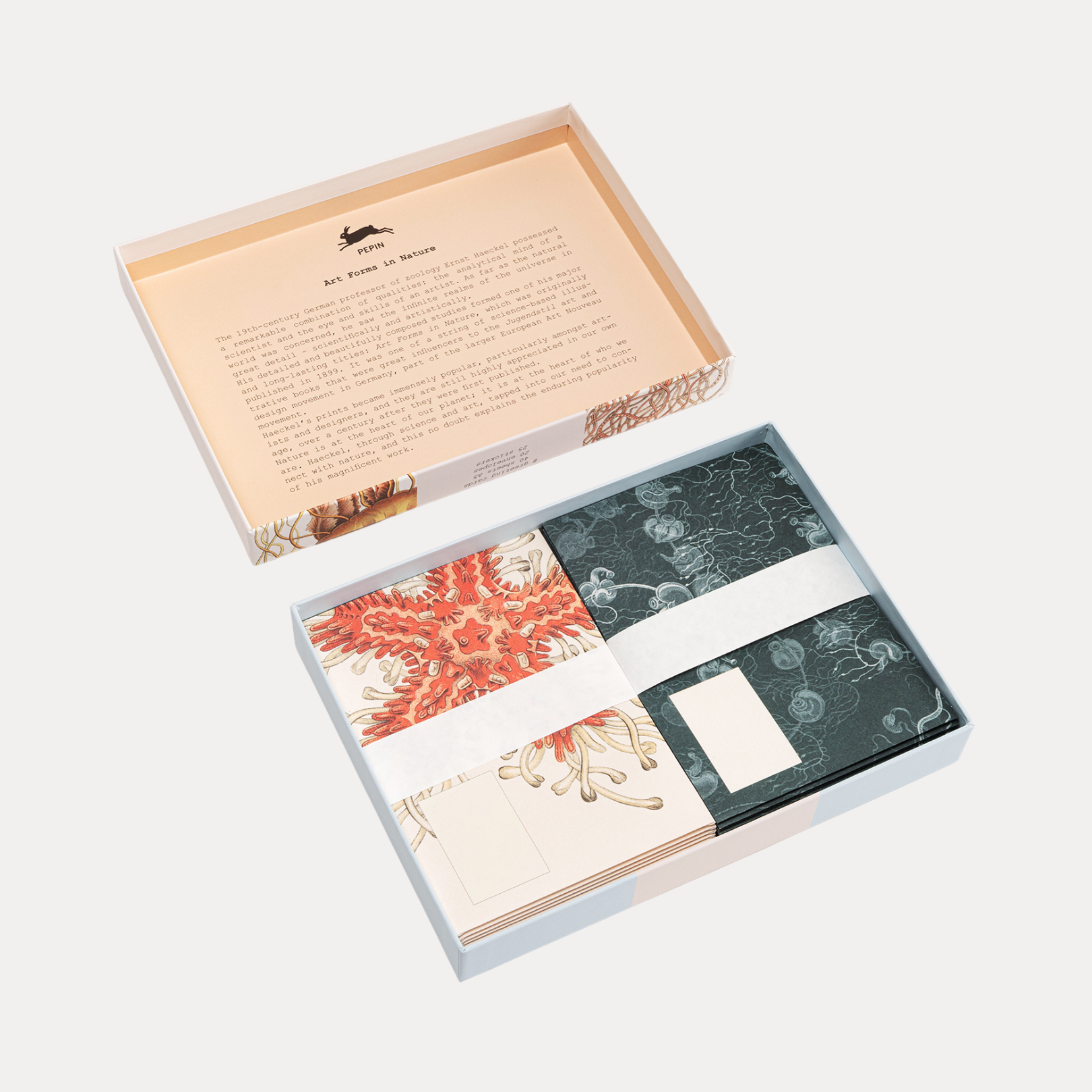 The Pepin Press Correspondence Set - Art Forms in Nature | Shop at BuDhaGirl
