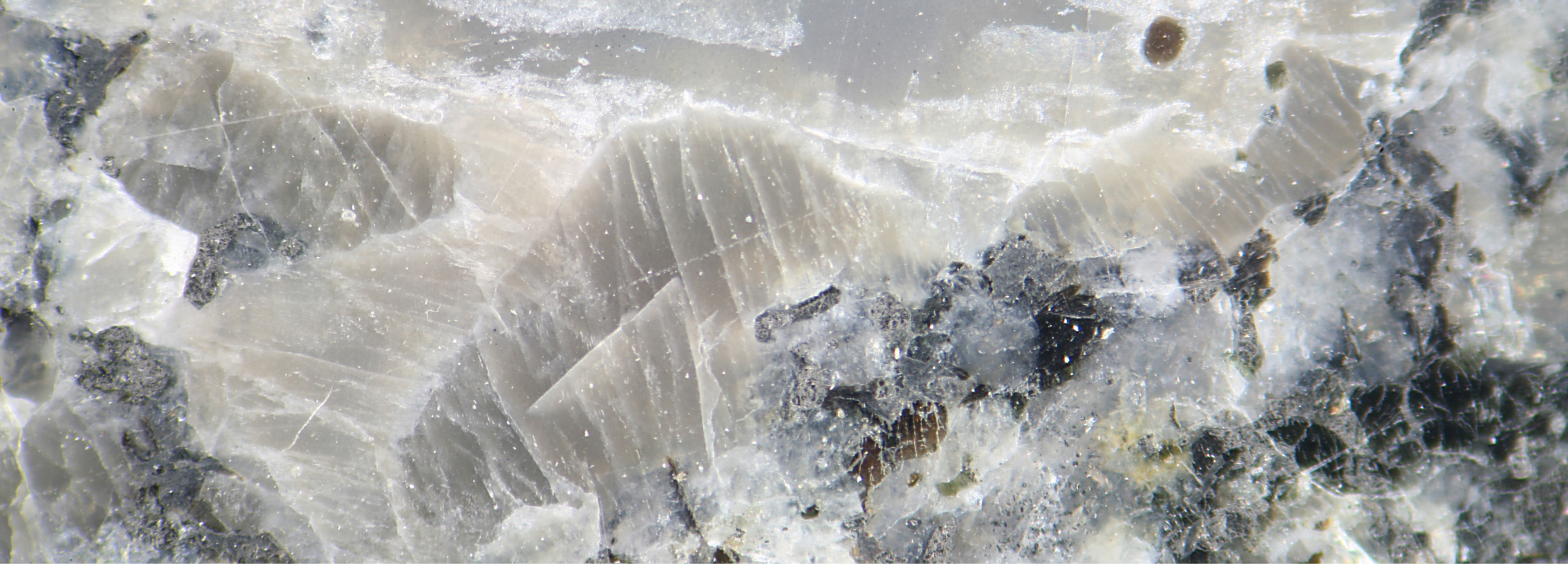 Holiday Collection 2025 | BuDhaGirl